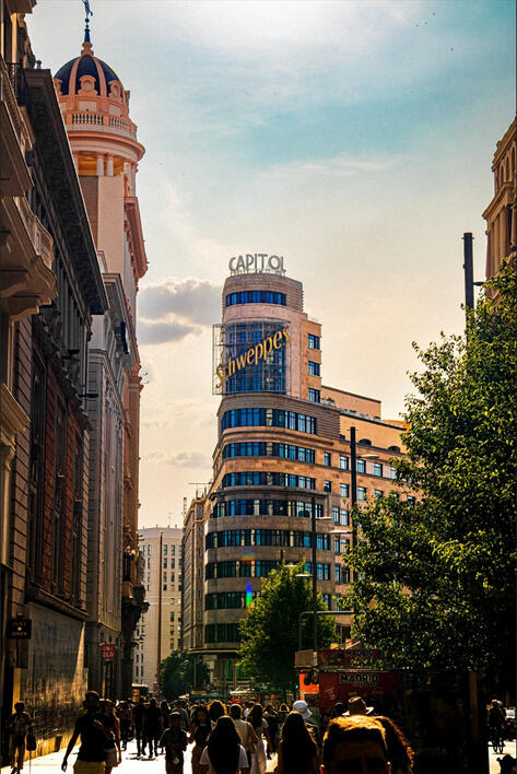 Habitasse